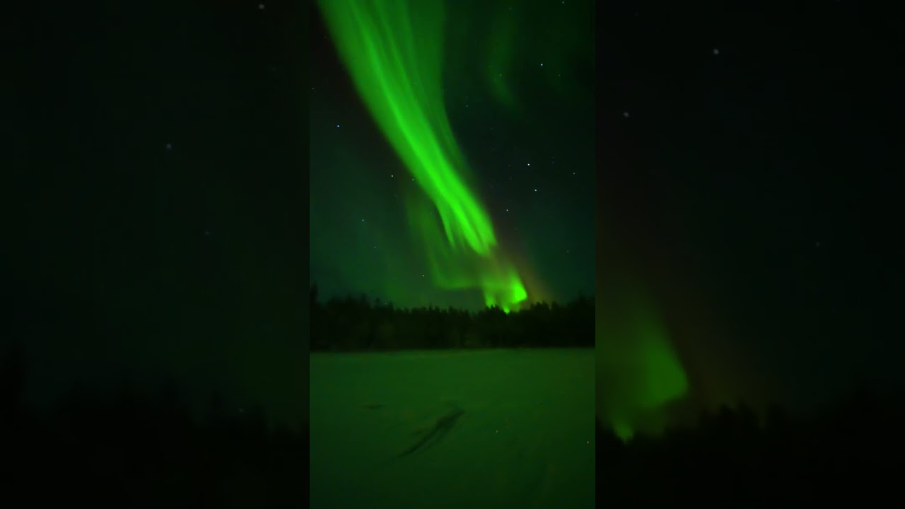 Ice skating with aurora couple days ago in Ranua,Finland😯💥 #finland #lapland #aurora #northernlights