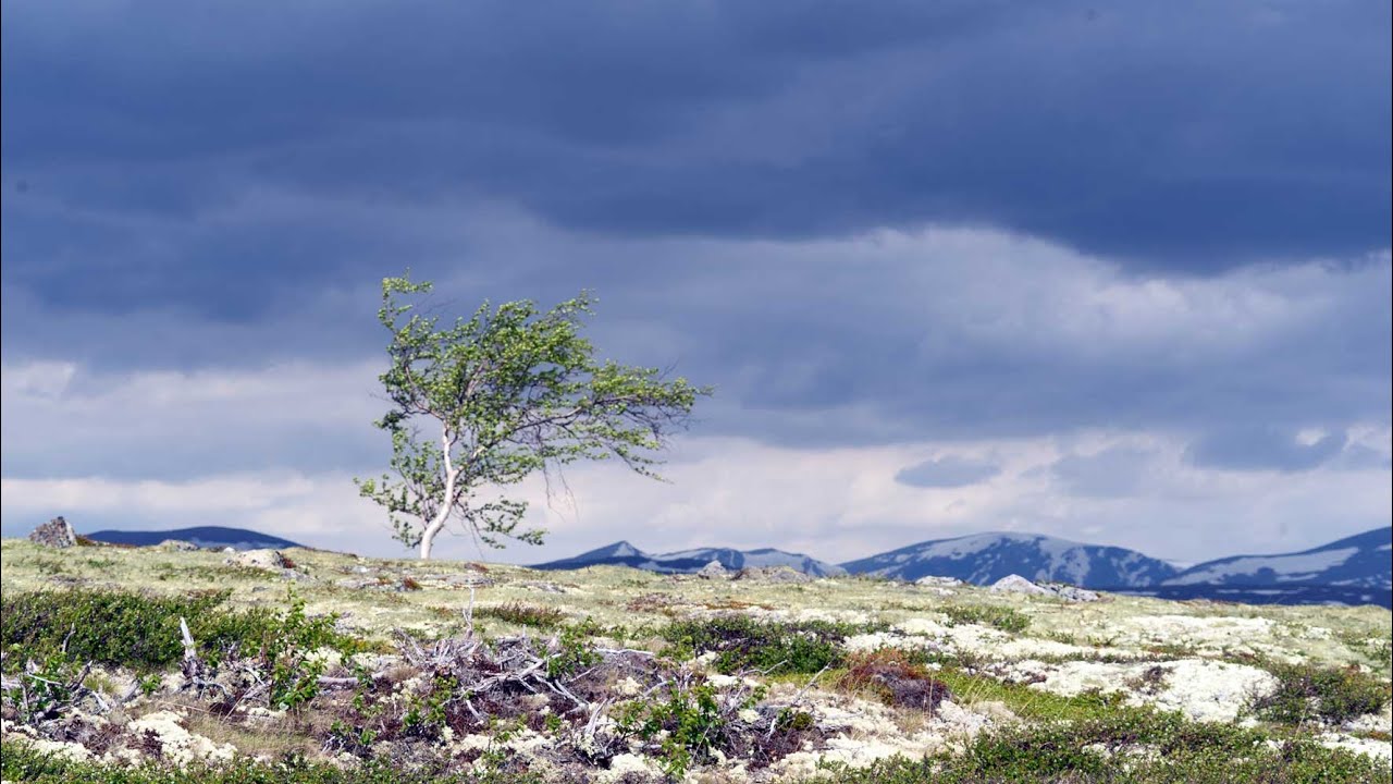 T36 Gudbrandsdalsleden Lillehammer Trondheim