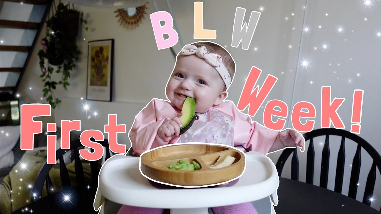 How To Wean Your Baby | BABY LED WEANING | my baby’s first week eating solids 6 months