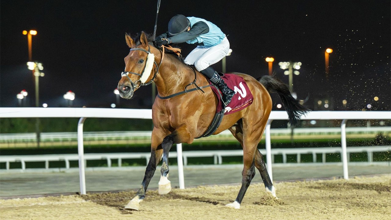RM 52  Al Rayyan Race 1 -  Al Jumayliyah Cup