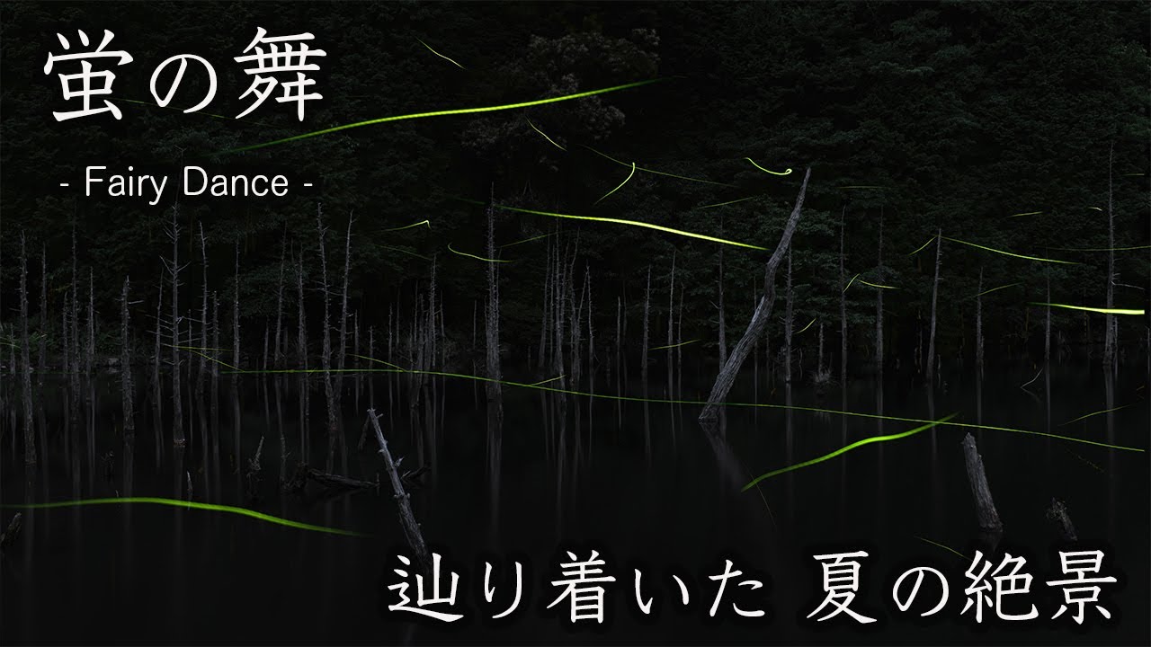 【撮影】山口の秘境で見つけた、蛍と星空と水没林 撮影旅 ~ Japan's spectacular scenery ~