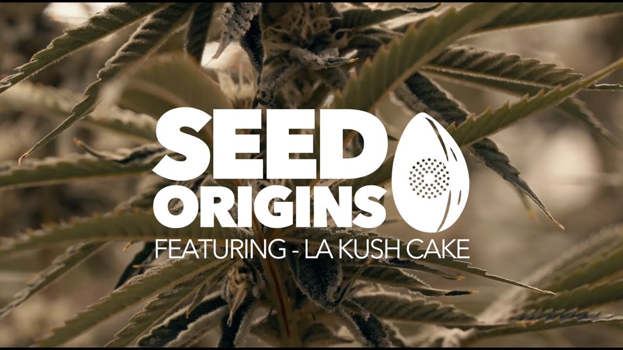 How did LA Kush Cake come to life?