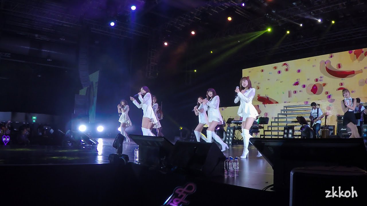 [4K/Fancam] 150322 Mr. Chu - Apink 1st Concert 'Pink Paradise' in Singapore