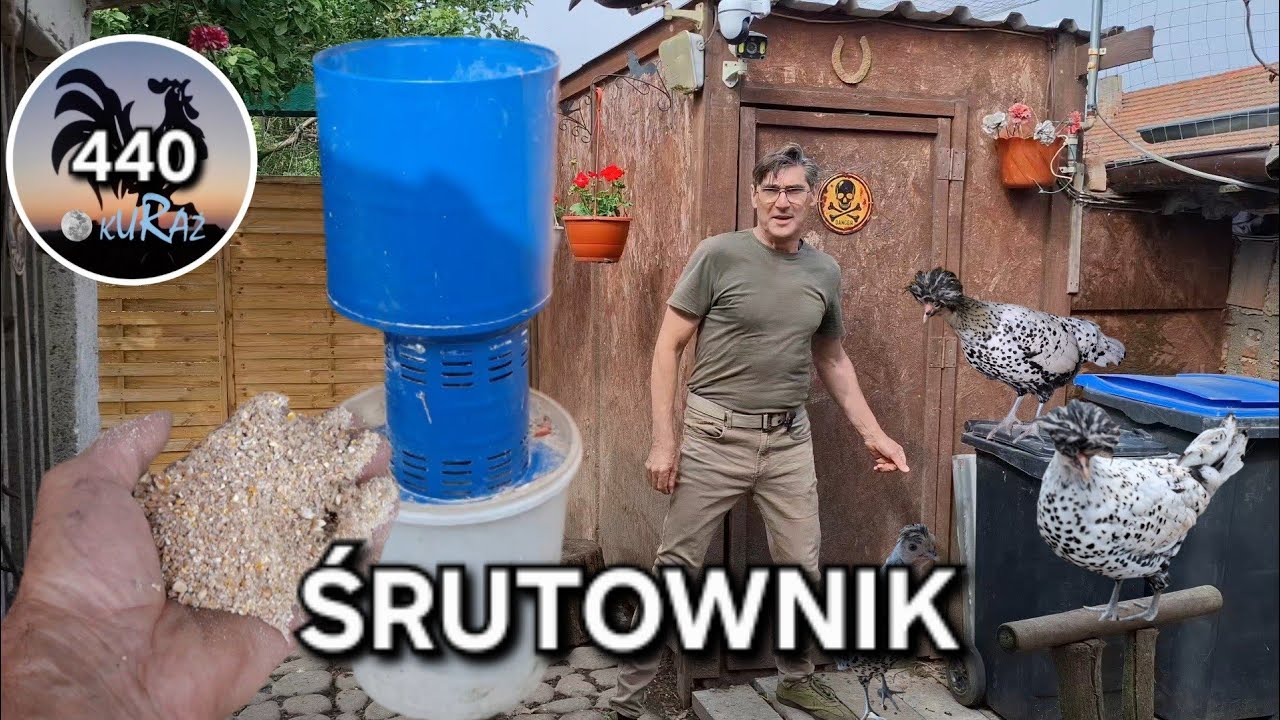 Śrutowanie zboża dla kur * Magazyn na zboże #Garden kuRaż 