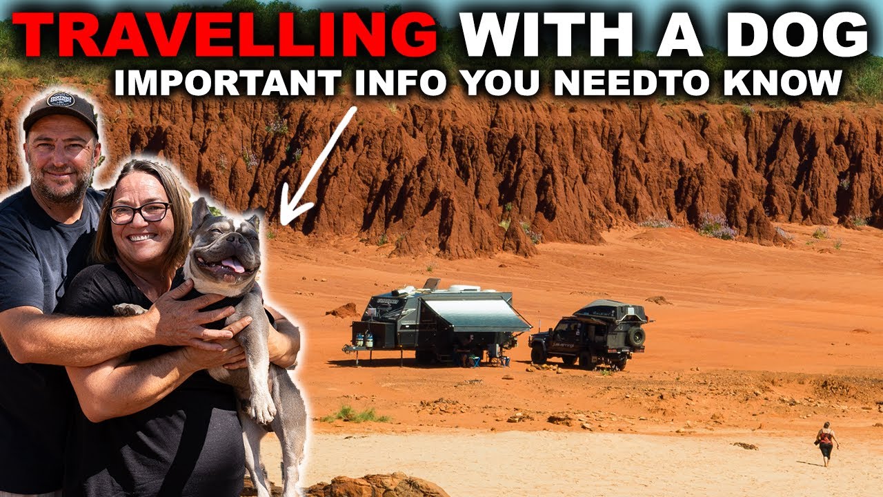 CARAVANNING AUSTRALIA with your dog