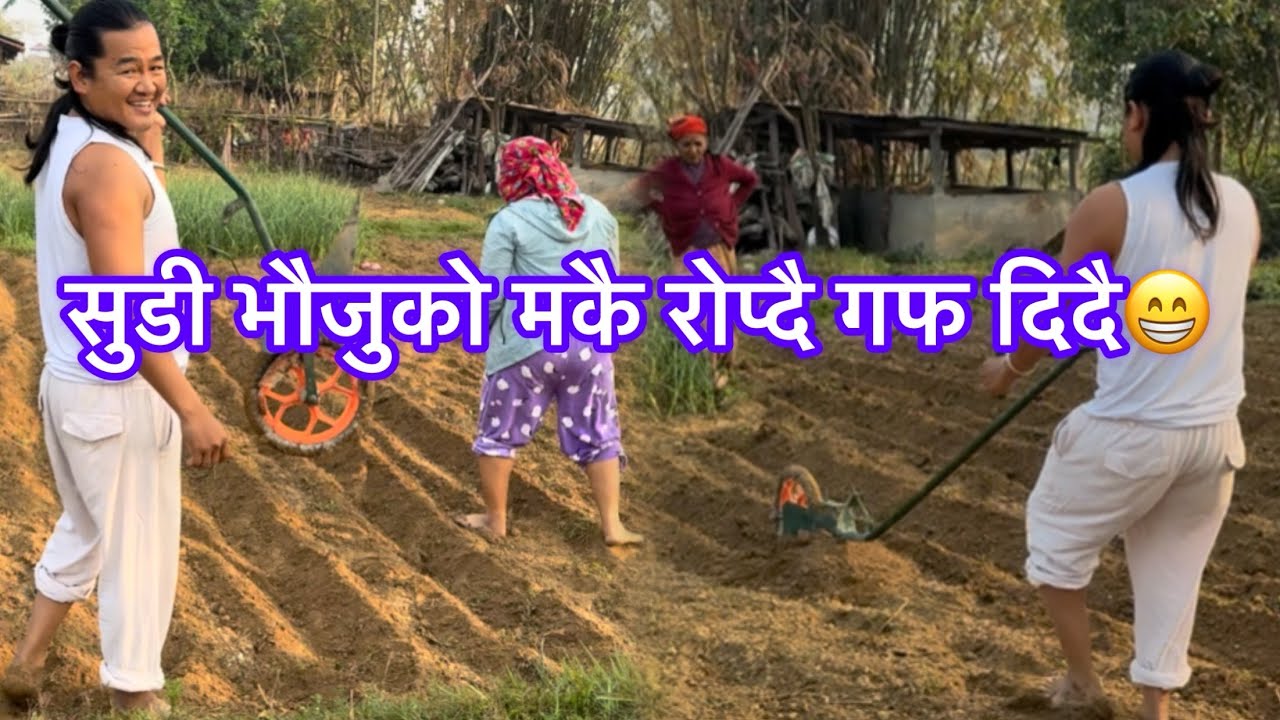 मकै रोप्नु कति सजिलो छिनभरमै सकोयो😁