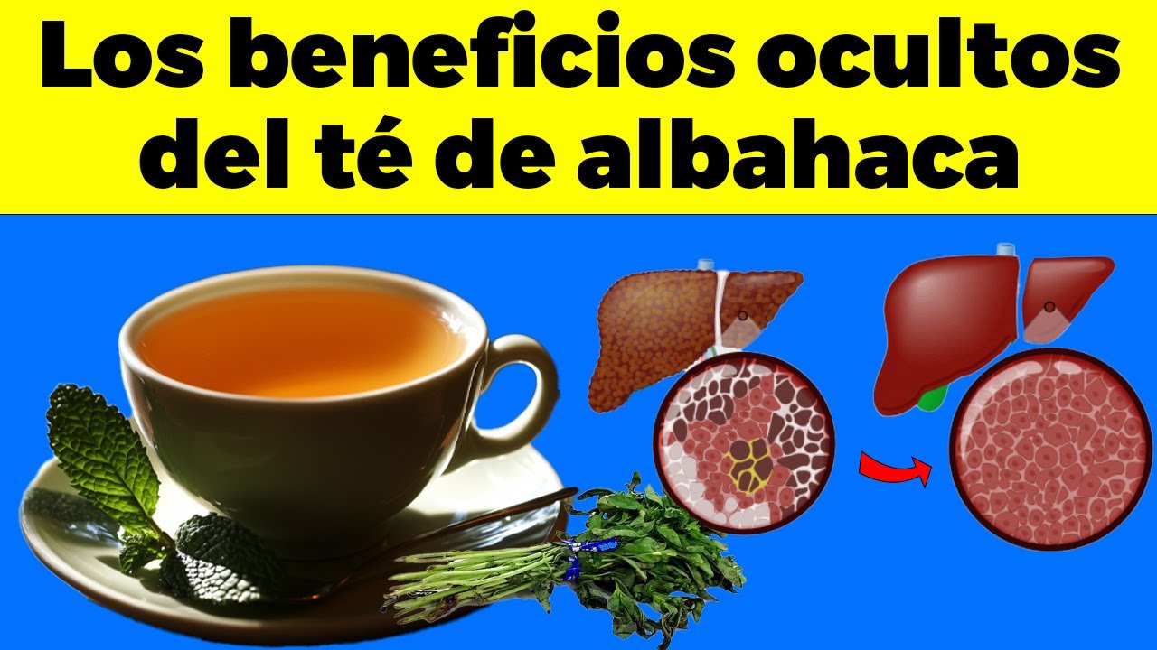 &iquest;TOMAS T&Eacute; DE ALBAHACA?   &iexcl;AS&Iacute; LO ACTIVAS! Incre&iacute;bles BENEFICIOS de Consumir ALBAHACA &ldquo;de ESTA forma&rdquo;