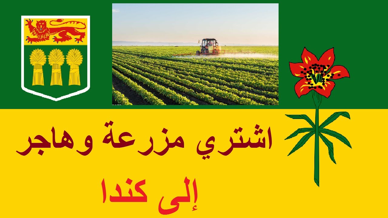 اشتري مزرعة ... واحصل على الإقامة الدائمة الكندية