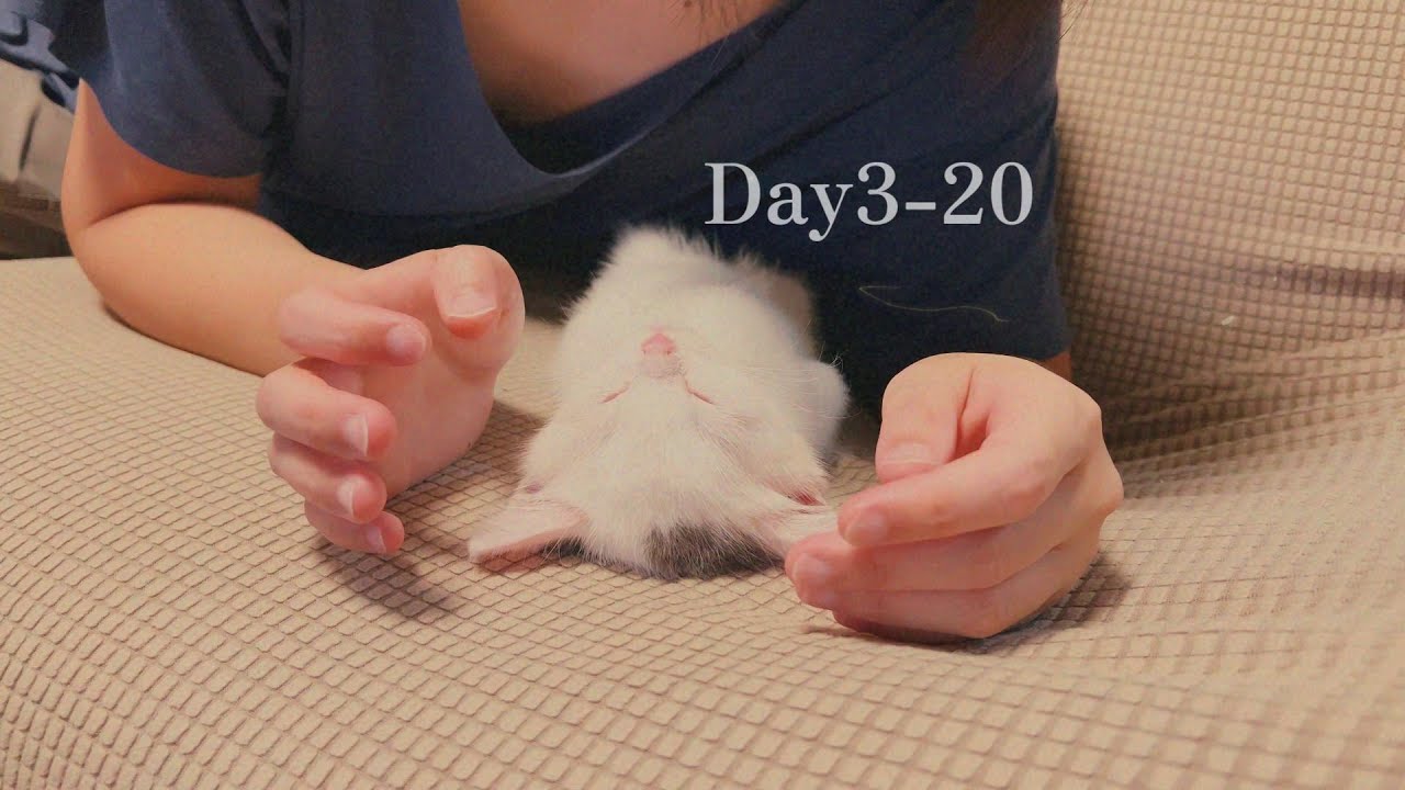 Day3-20(Last)