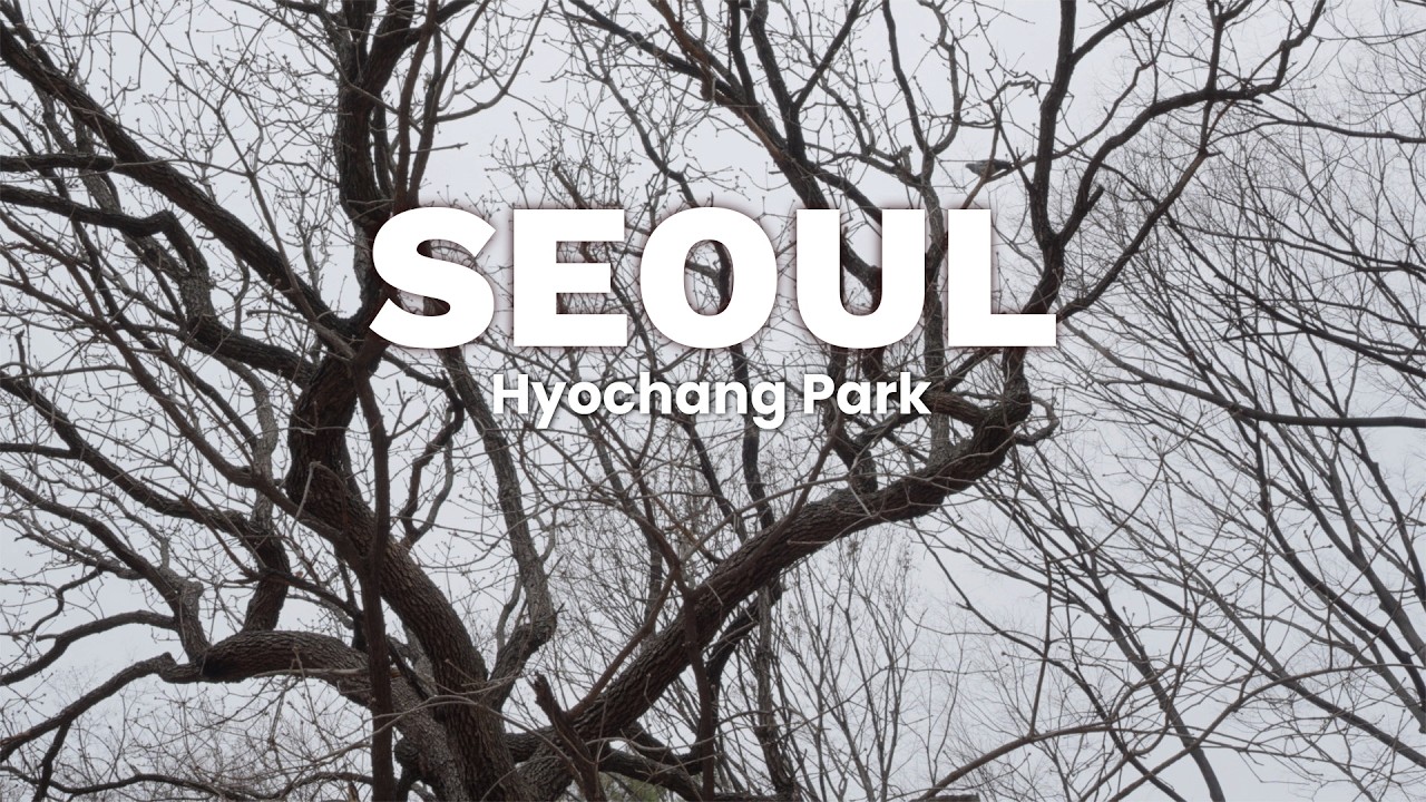 20260301 동네산책 : 효창공원