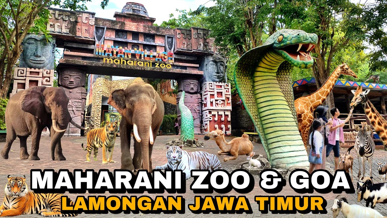 MAHARANI ZOO & GOA MAHARANI LAMONGAN TERBARU FULL REVIEW MAHARANI ZOO LAMONGAN 2025