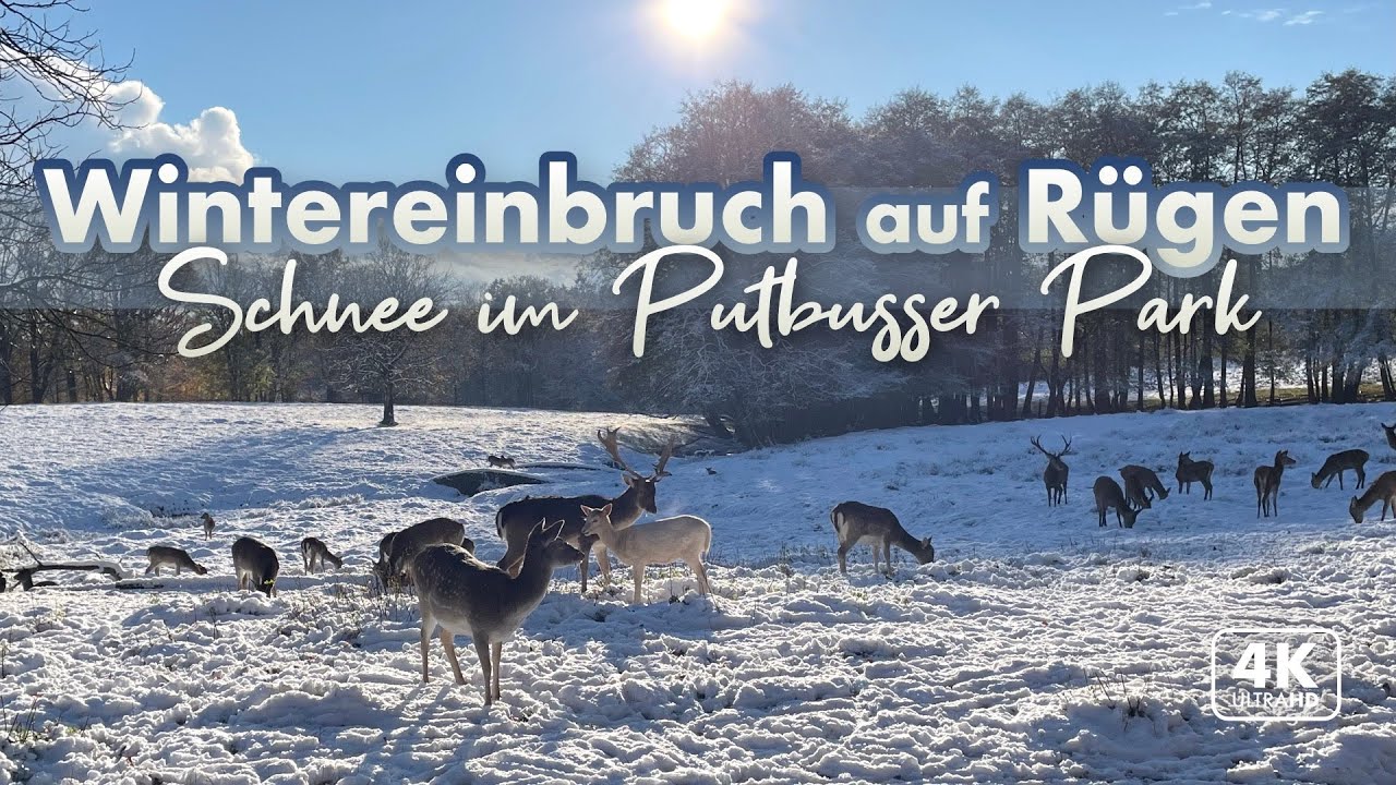 Wintereinbruch auf Rügen - Schnee im Park von Putbus (4K Walk)