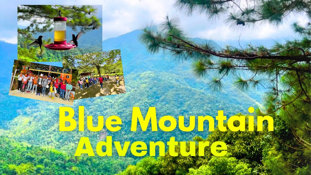 Blue Mountain Adventure | Off Grid Portland Jamaica 🇯🇲