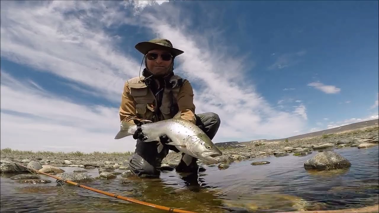 Pesca de Truchas en Limay Medio  - 
