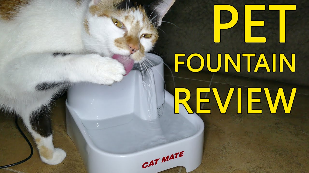 Cat Mate Pet Drinking Fountain | Why it's GOOD for your cat!
