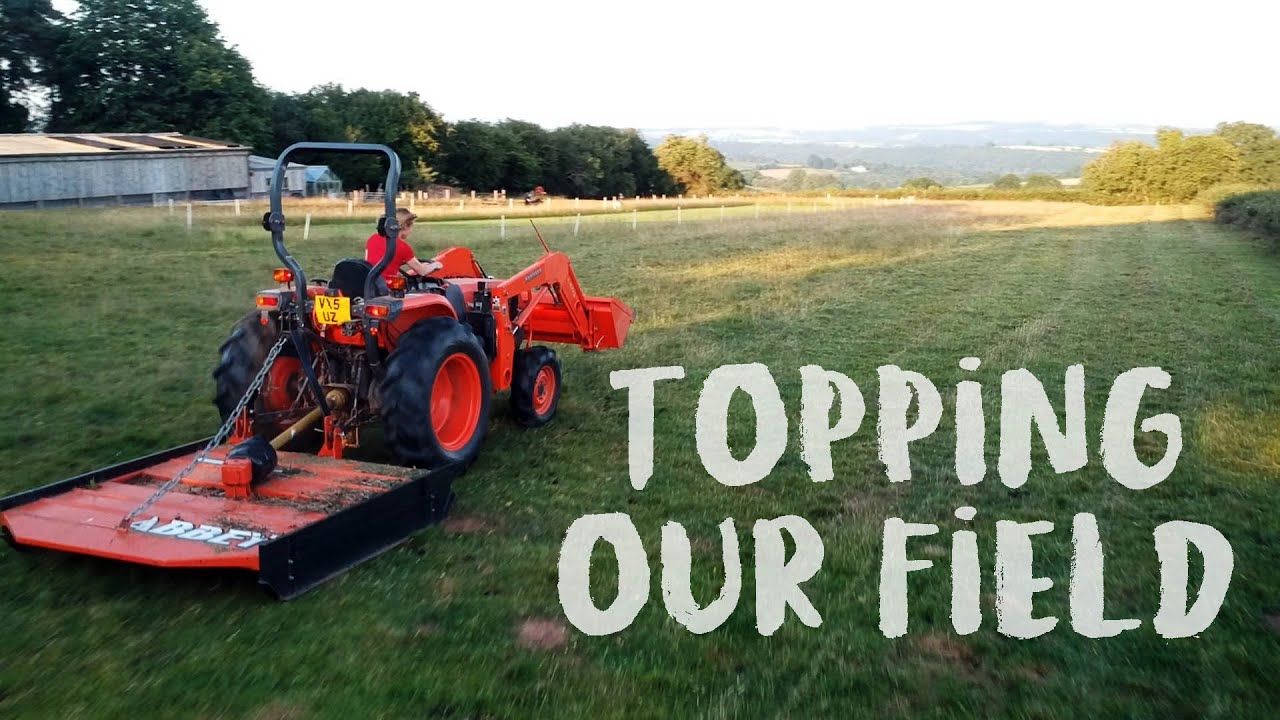 Topping our field ready for sheep grazing on our Homestead Smallholding