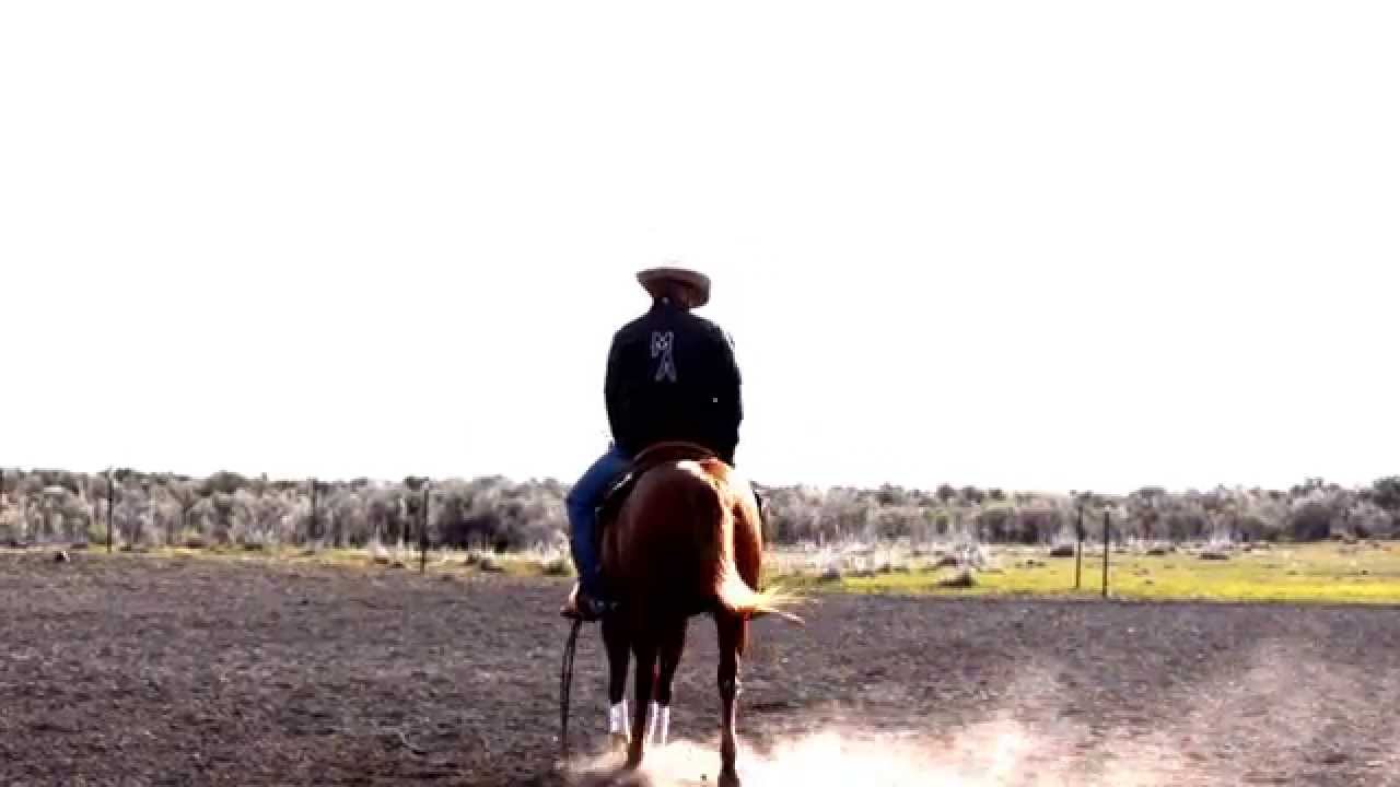 Mentally Working Your Horses Mind