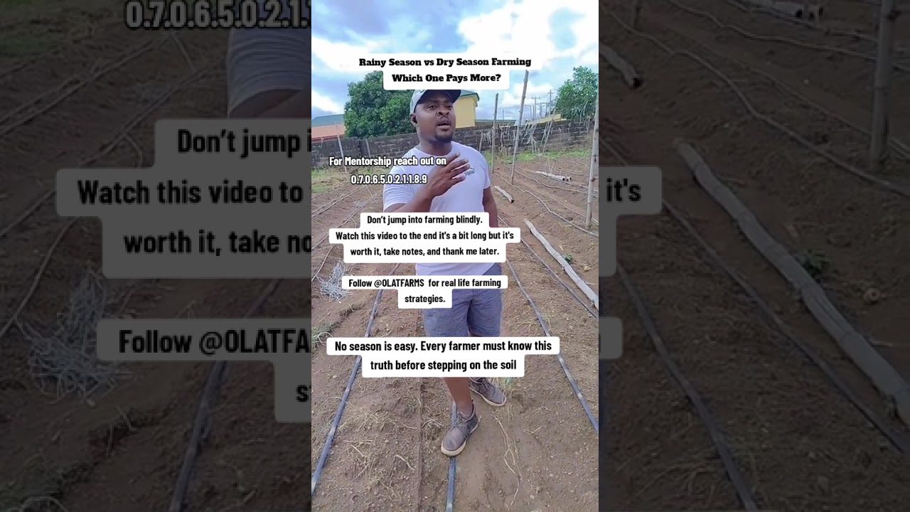 Rainy Season vs Dry Season Farming | Which One Pays More? | Must Watch for Farmers🌾🥒🌶️🍅🫑💰
