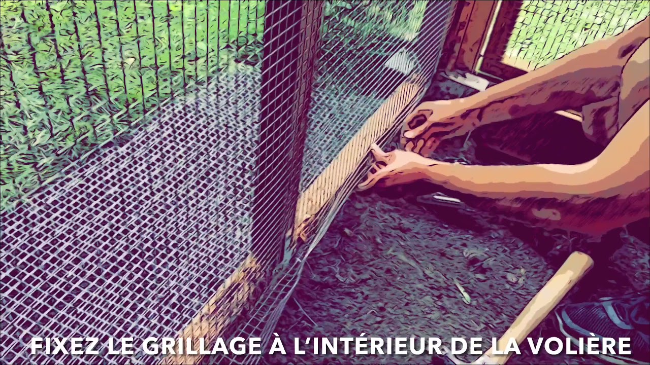 SÉCURISER LA VOLIÈRE - Ma Poule De Luxe - SECURE THE COOP