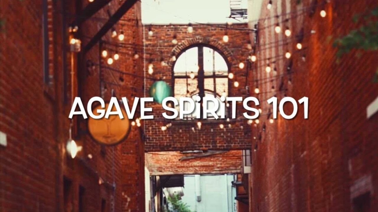 Agave Spirits 101