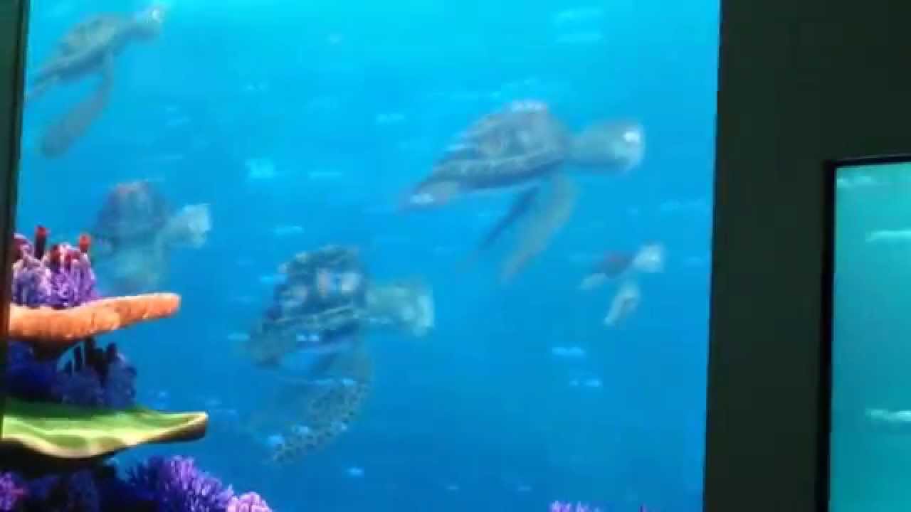 Disney Dream 