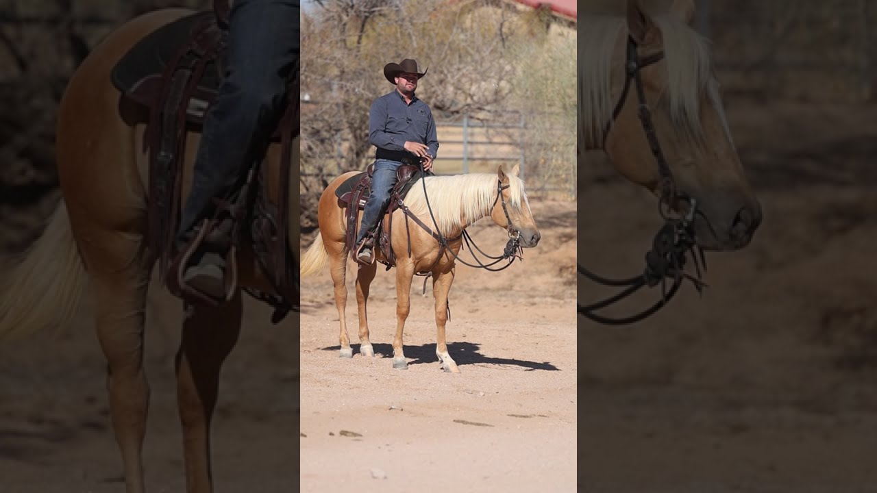 It’s your job to set your horse up to safely handle traffic #applythemethod 