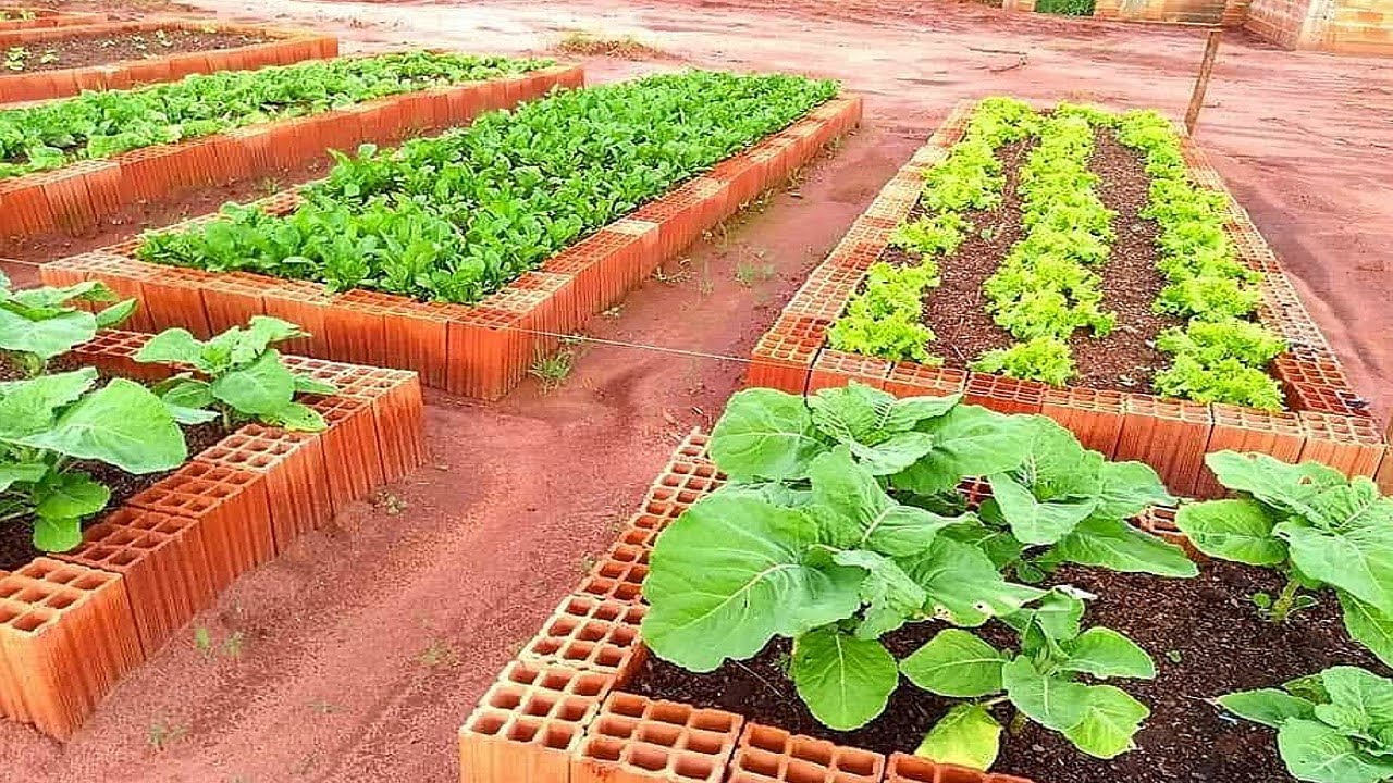 COMO FAZER UMA HORTA EM CASA (EM 1 MINUTO PASSO A PASSO)