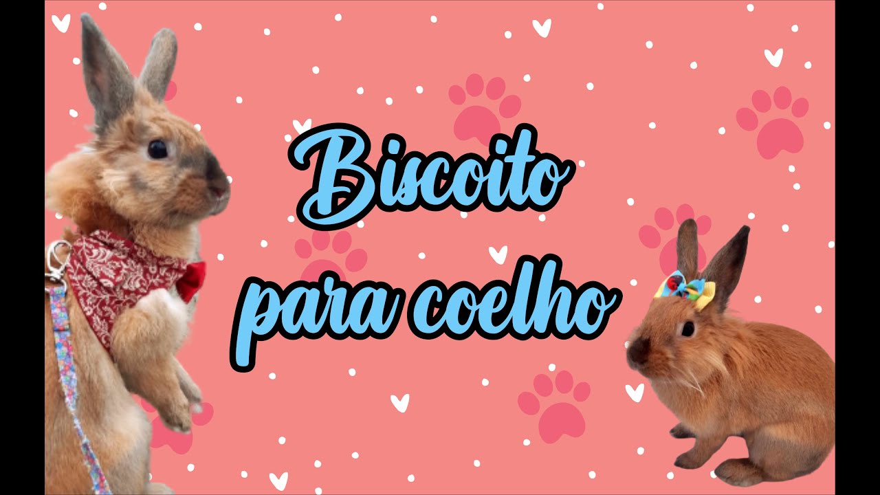 Como fazer biscoito para coelho - petisco saudável para coelho