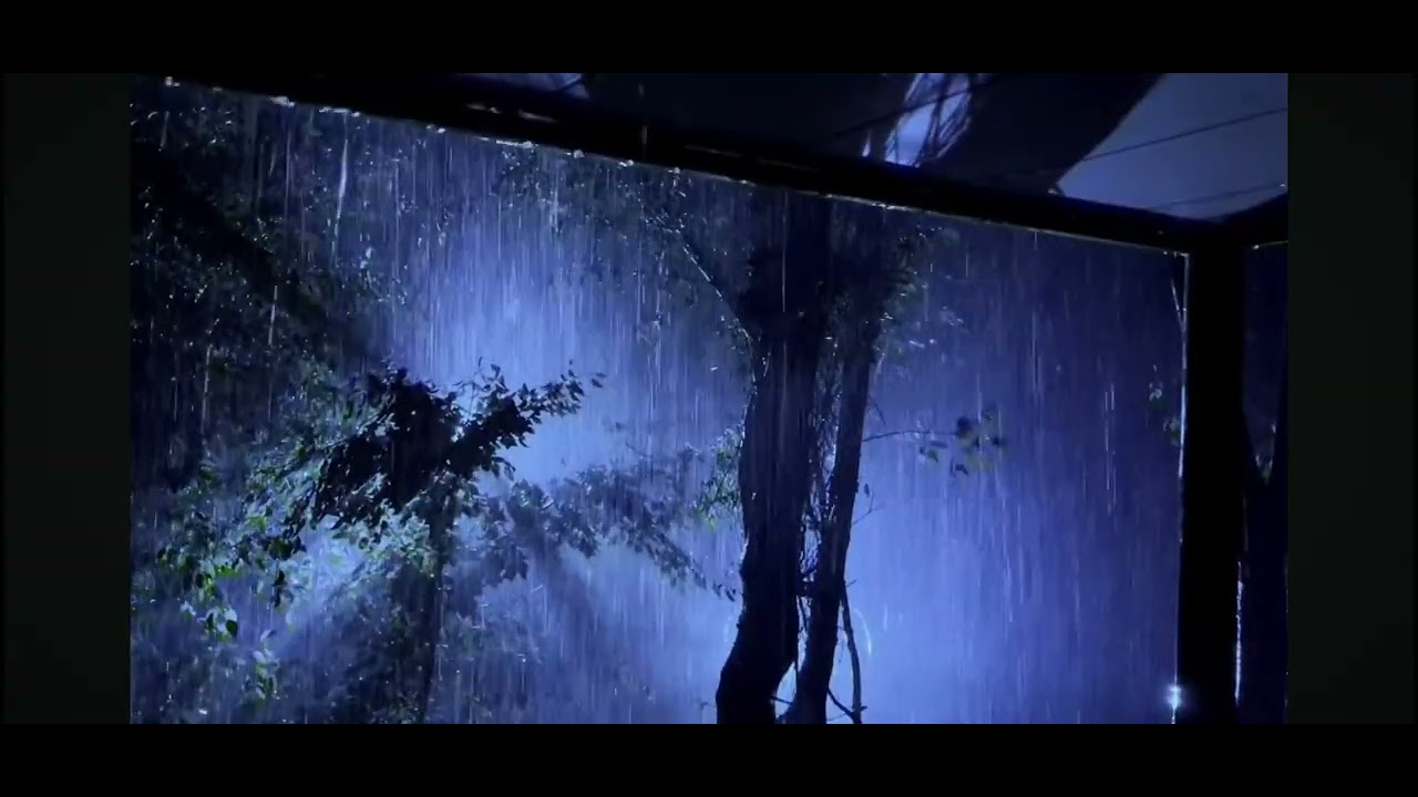 El sonido de la lluvia ,duerma placidamente con este sonido milenario 🌨☔️🌨☔️