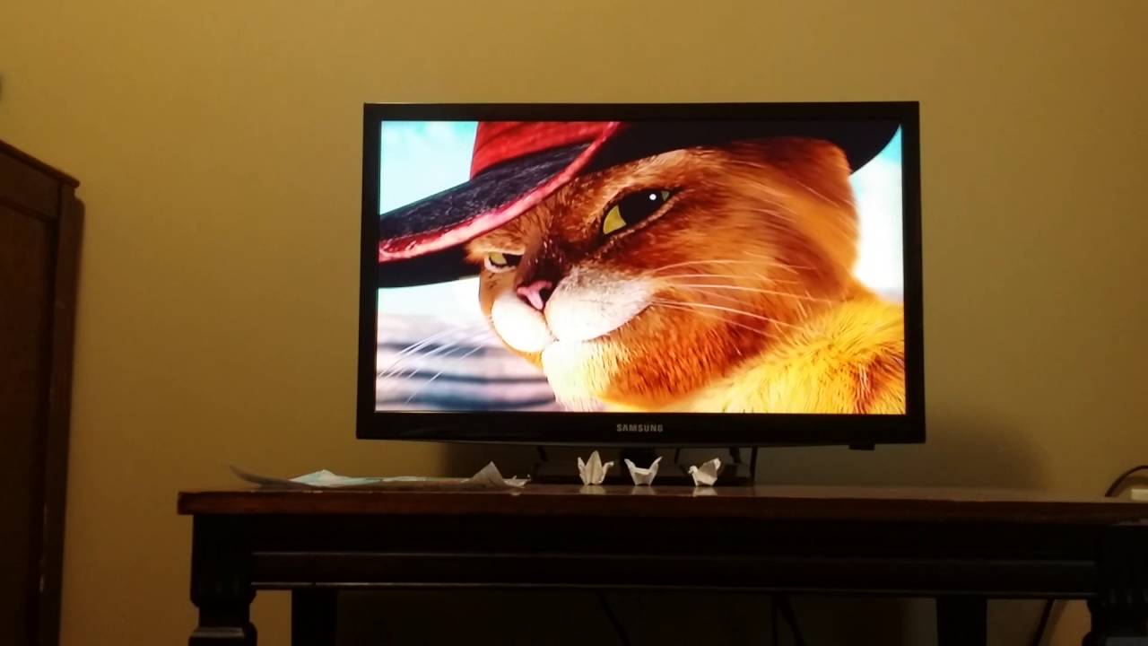 Opening to Home 2015 DVD