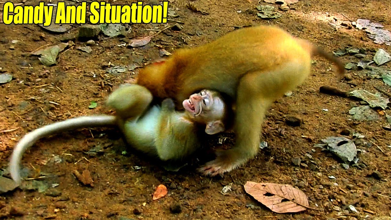 CANDY AND HER SITUATION!