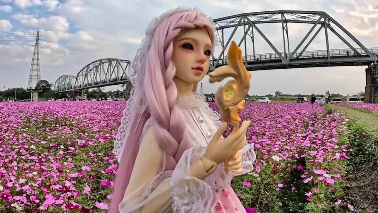 舊鐵橋花海 0110