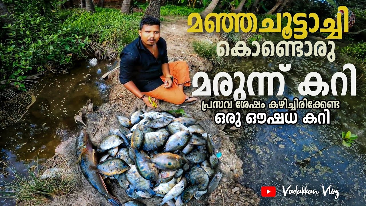 മഞ്ഞ ചുട്ടാച്ചി കൊണ്ടൊരു മരുന്ന് കറി|Medicine curry|Vadakkan vlog Kl13|rajeesh vadakkan|