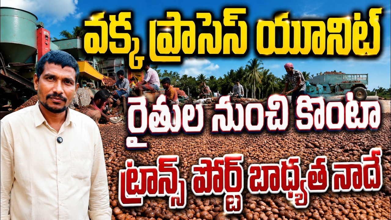 రైతుల నుంచి వక్క కొంటున్నా | areca nut processing unit | bhumiputhra telugu