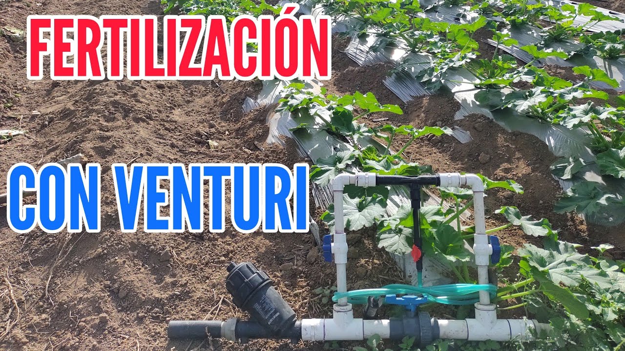 CÓMO UTILIZAR un VENTURI para FERTILIZAR NUESTRO CULTIVO mediante un SISTEMA de RIEGO por GOTEO