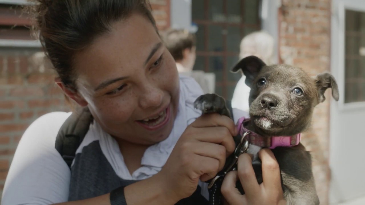 The Better Neighbor Project: Helping Homeless Families and Pets