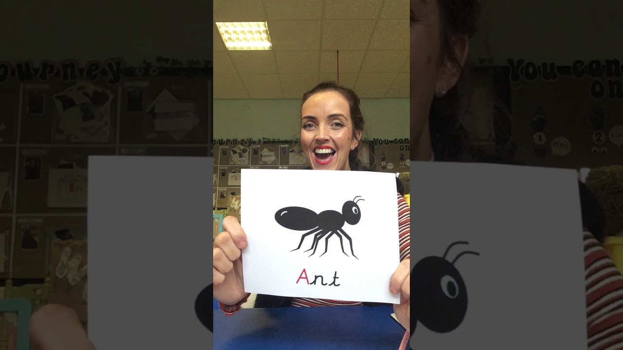 Phase 2 phonics with Mrs Mullally 19th jan
