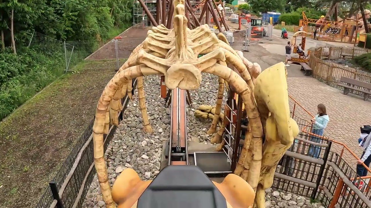 Säbelsaurus | Potts Park Minden
