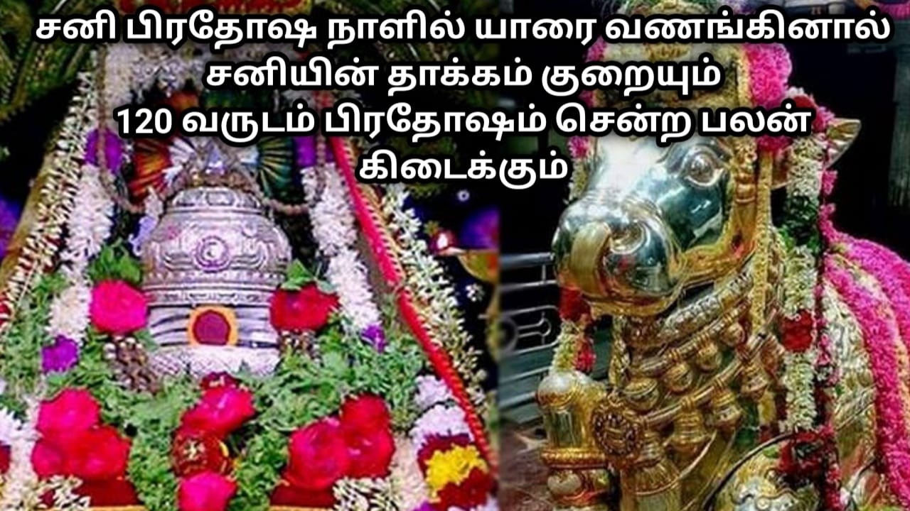 சனி பிரதோஷ நாளில் யாரை வணங்கினால் சனி தாக்கம் குறையும்! 120 வருடம் பிரதோஷம் சென்ற பலன் கிடைக்கும்!