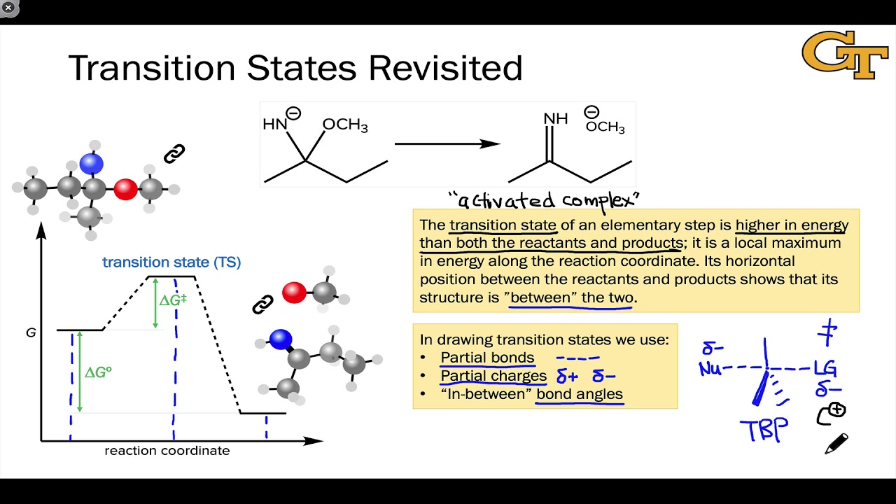 01.02 Transition States Revisited