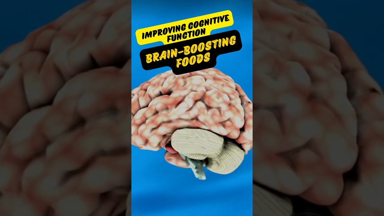 Superfoods for Brain Health and Cognitive Function