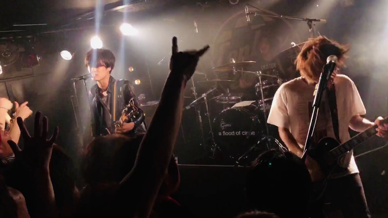 群青日和 - 東京事変 covered by a flood of circle