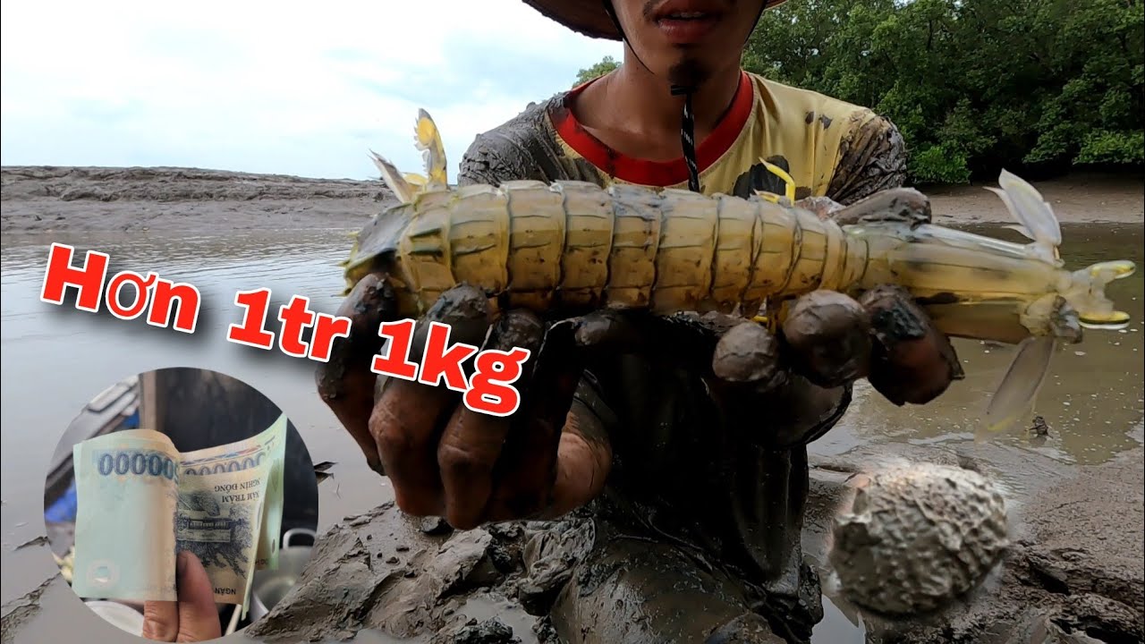 Tôm Tít Siêu To Khổng Lồ hàng hiếm lâu rồi mới gặp lại | GĐCG #958