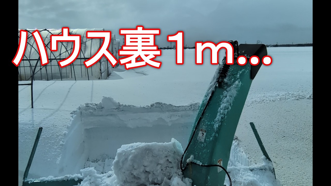 ハウス裏が…吹き溜まりを突破する!!!『Ｎo,115』