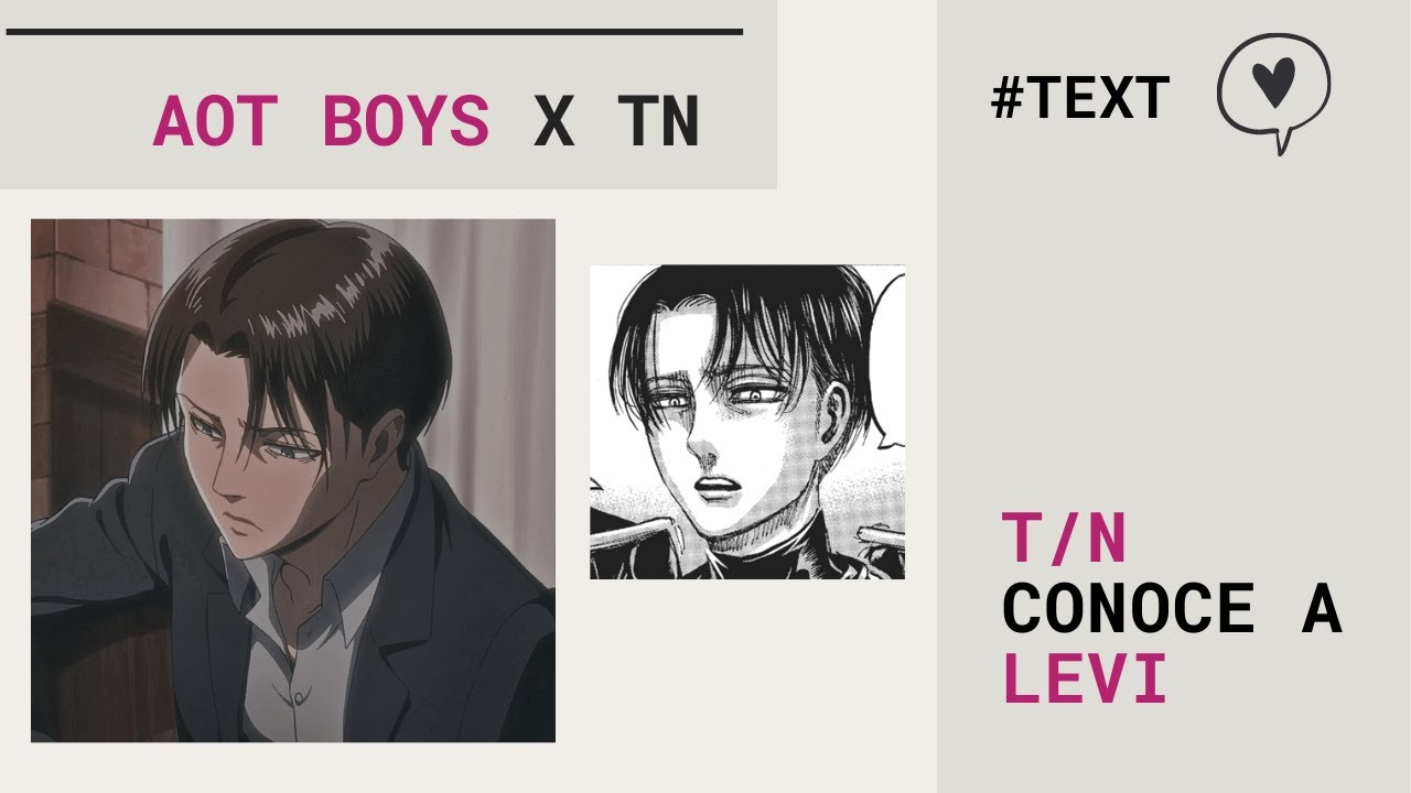 💫T/N conoce a LEVI | Aot boys x TN💫