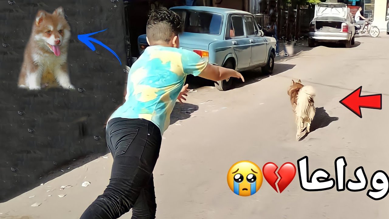 روكي هرب من البيت الجديد (مش مقلب) وداعا 💔👋