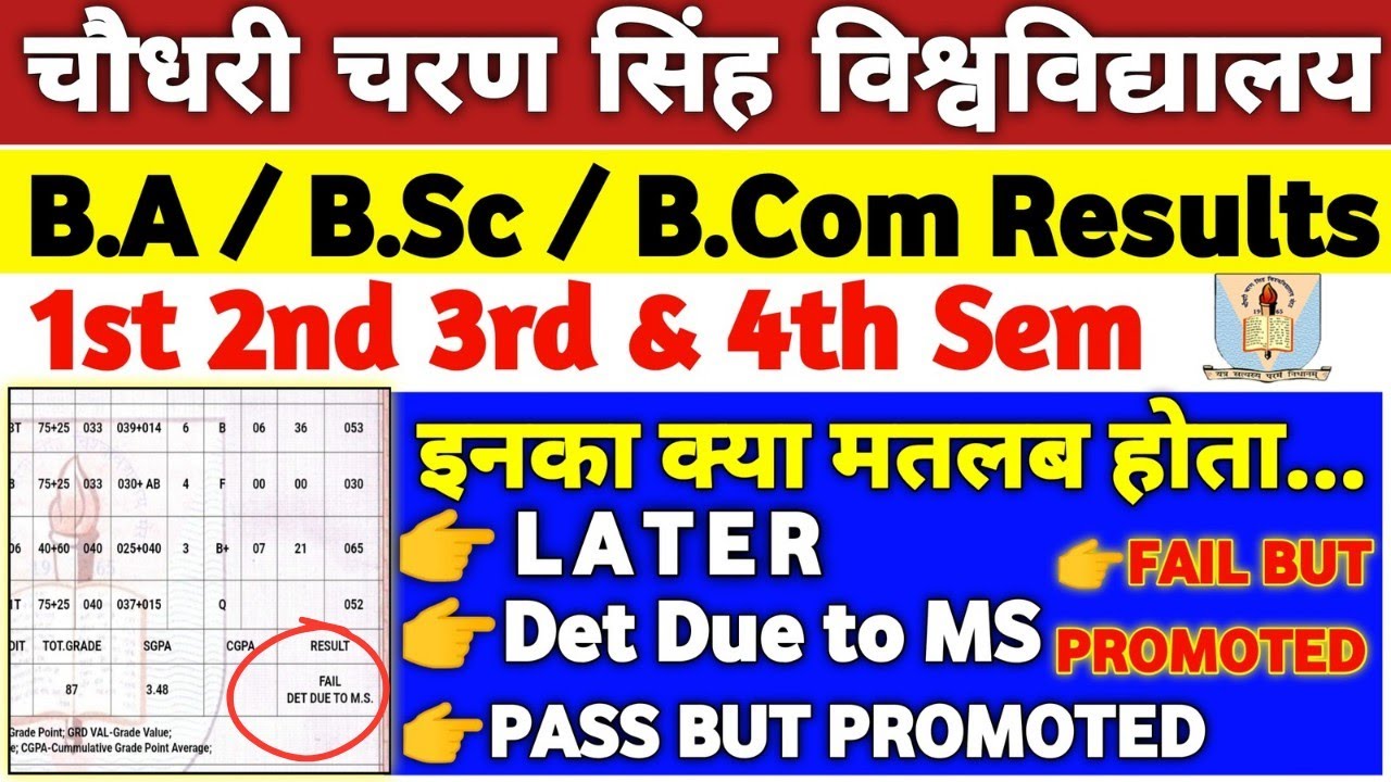 MarkSheet में इन सब का क्या मतलब हैं | LATER Det due to Mc,Ms Pass & Fail but promoted | #ccsu