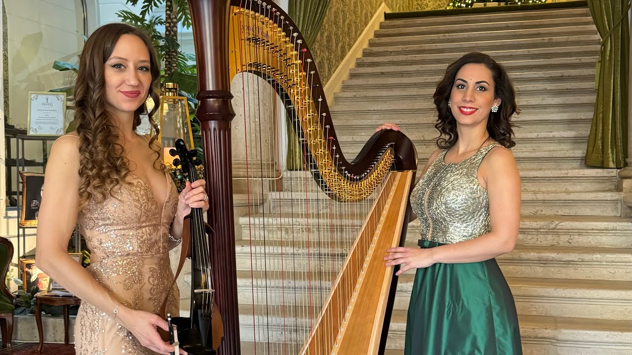 Vibe stings - Harp-violin show duo | Carol of the bells cover
