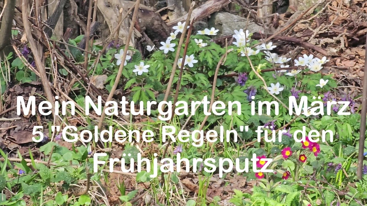 Mein Naturgarten im M&auml;rz: 