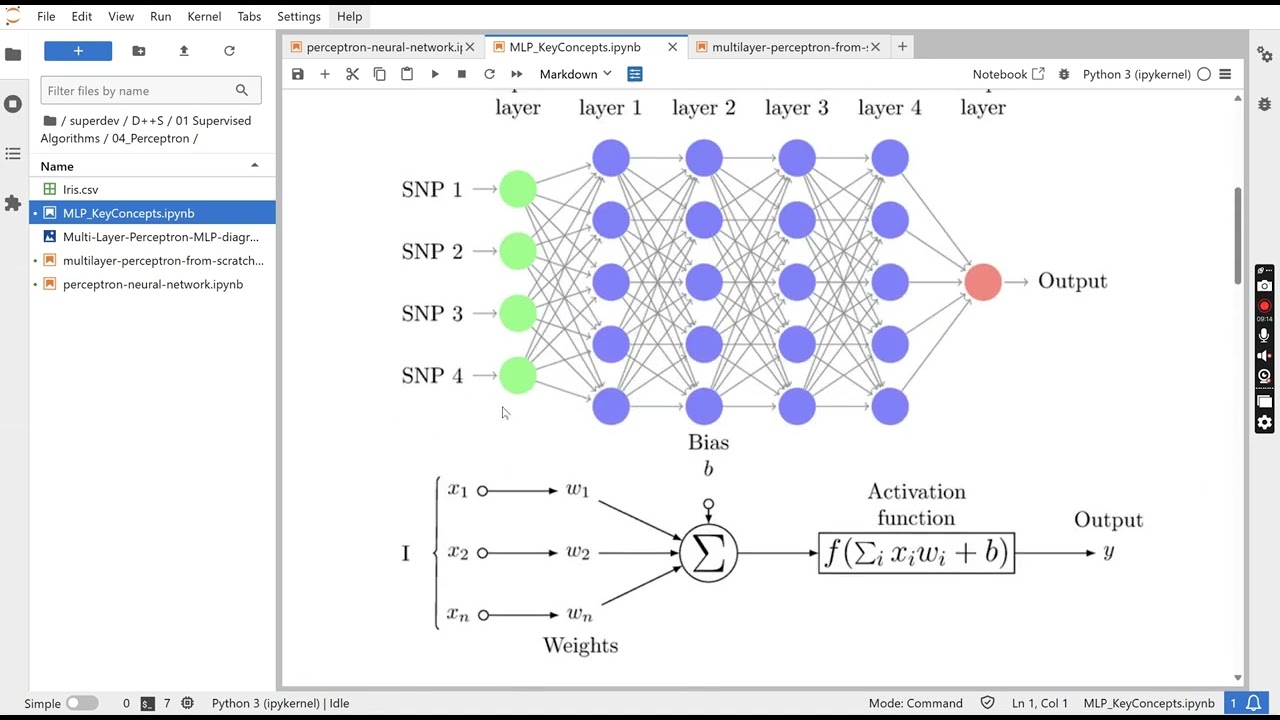 02 Multi Layer Perceptron -  IRIS flower Classification